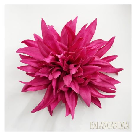 Dahlia_foto